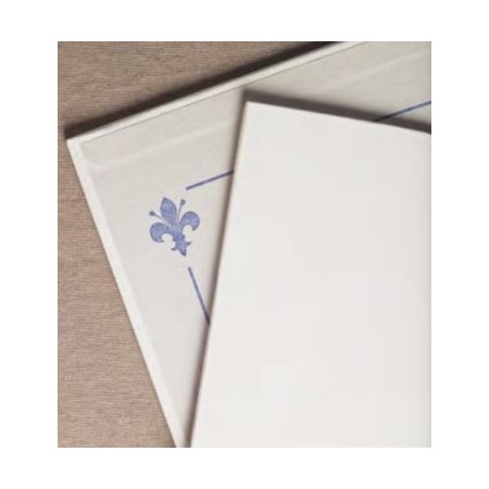 CARTONE TELATO 50X60  P1